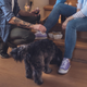 Illustration for article titled Silent Hero: This Dog Has No Idea It Is Single-Handedly Supporting Nearly Every Conversation At This Party